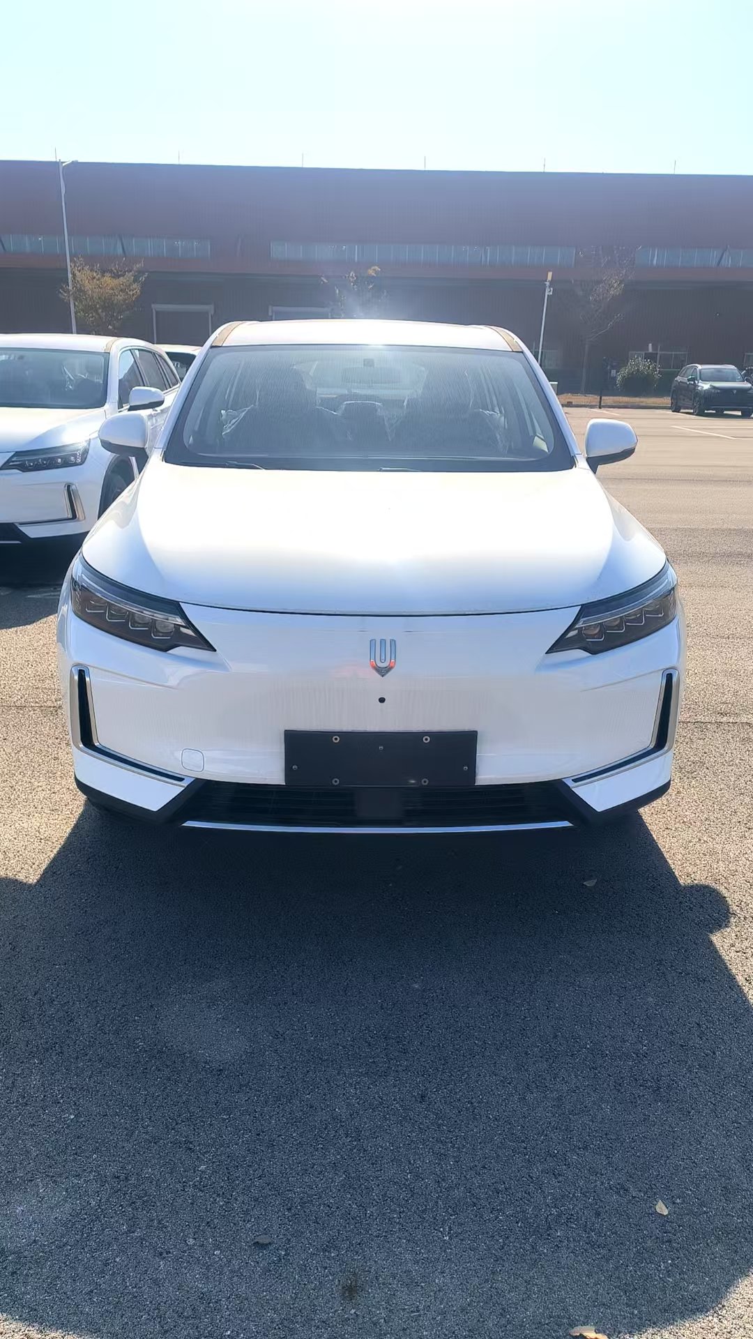 Skyworth BE11 electric SUV export China